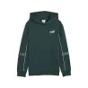 Sweat à capuche Enfant PUMA  689169 - PUMA