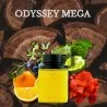 Parfum homme Odyssey Mega 100ml - ODYSSEY