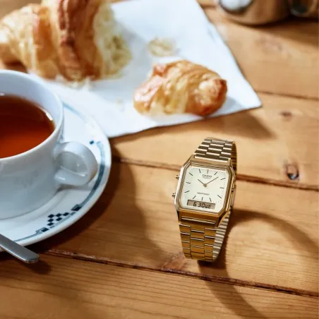 Montre Unisexe CASIO  AQ-230GA-9DMQ - Casio