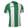 Joma - T-Shirt Pisa Vert-Blanc À Manches Sans Métrage - JOMA