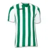 Joma - T-Shirt Copa Vert-Blanc - JOMA