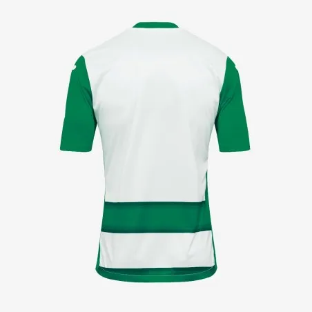 Joma - Maillot Vert Et Blanc Europa - JOMA