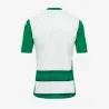 Joma - Maillot Vert Et Blanc Europa - JOMA