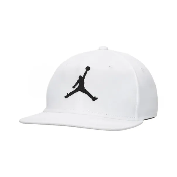 Nike Jumpman Pro Blanc FV5296100 - NIKE