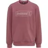 Sweatshirt enfant Hmltomb Rose - hummel