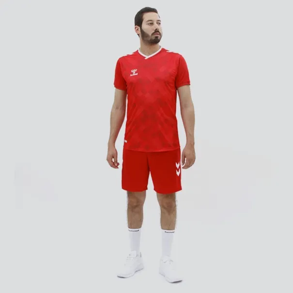 Tenue d'Entrainement Hml Danemark - hummel