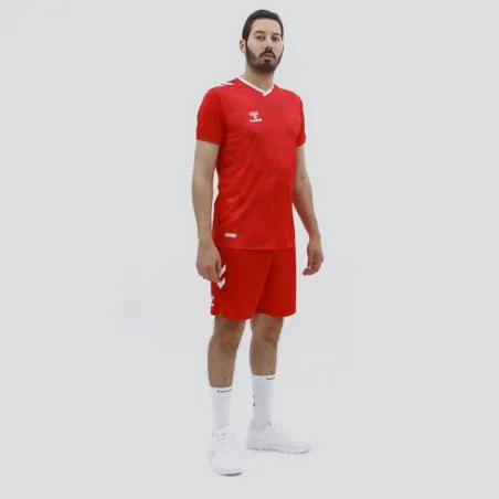 Tenue d'Entrainement Hml Danemark - hummel