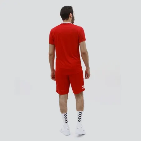 Tenue d'Entrainement Hml Danemark - hummel