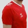 Tenue d'Entrainement Hml Danemark - hummel