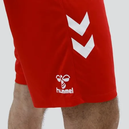 Tenue d'Entrainement Hml Danemark - hummel
