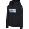 Sweatshirt à capuche Hml Tukas Huckleberry - hummel