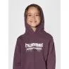 Sweatshirt à capuche Hml Tukas Huckleberry - hummel