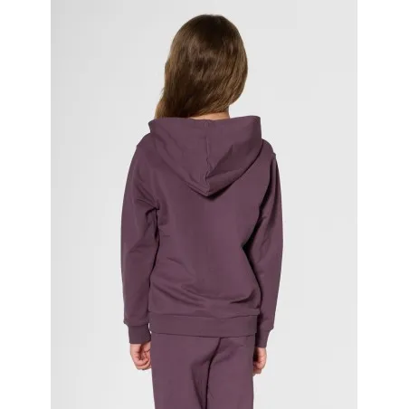 Sweatshirt à capuche Hml Tukas Huckleberry - hummel