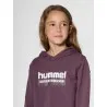 Sweatshirt à capuche Hml Tukas Huckleberry - hummel
