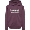 Sweatshirt à capuche Hml Tukas Huckleberry - hummel