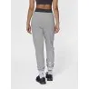 Pantalon Hml Elemental Regular - hummel