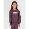 Sweatshirt Hml Tukas - hummel