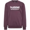 Sweatshirt Hml Tukas - hummel