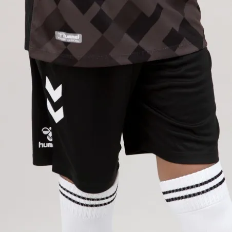 Tenue d'Entrainement Hml Danemark - hummel