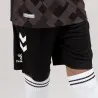 Tenue d'Entrainement Hml Danemark - hummel
