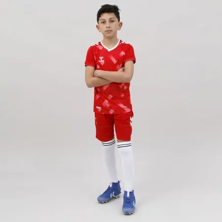 Tenue d'Entrainement Hml Danemark - hummel