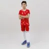 Tenue d'Entrainement Hml Danemark - hummel