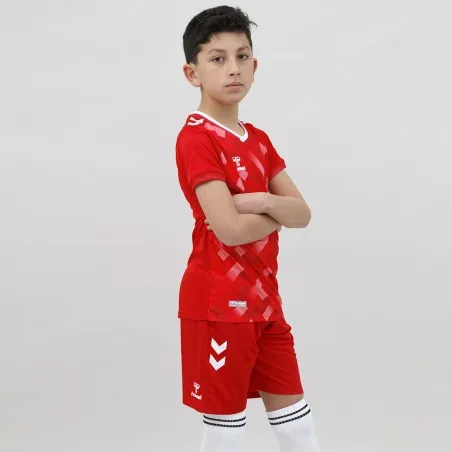 Tenue d'Entrainement Hml Danemark - hummel