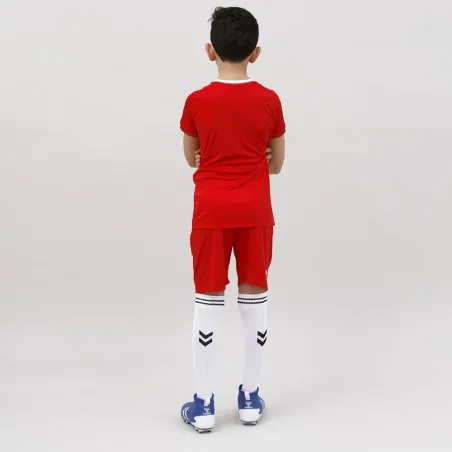 Tenue d'Entrainement Hml Danemark - hummel