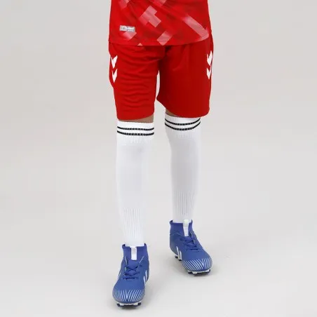 Tenue d'Entrainement Hml Danemark - hummel