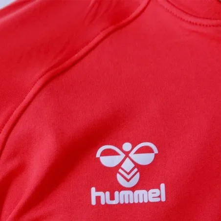 Survêtement Hml Danemark - hummel