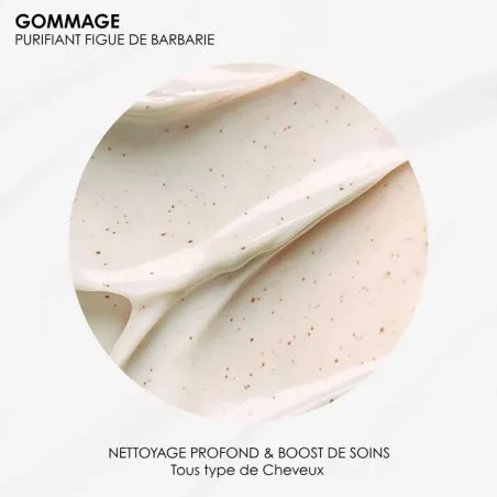 ROSEBAIE GOMMAGE PURIFFIANT KERATINE FIGUE DE BARBARIE 250ML - ROSE BAIE