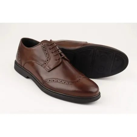 Chaussures classiques Homme BELTONI LIVIO - BELTONI