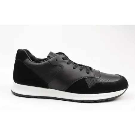 Basket Casual Homme BELTONI  EMILIO DAIM - BELTONI