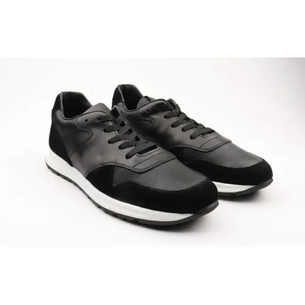 Basket Casual Homme BELTONI  EMILIO DAIM - BELTONI