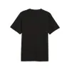 AFCON Trophy Tee - PUMA
