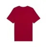 AFCON Trophy Tee - PUMA