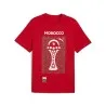 T-shirt AFCON Country - PUMA