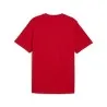 T-shirt AFCON Country - PUMA