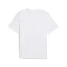 AFCON COUNTRY TEE - PUMA