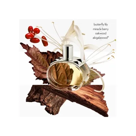COFF HERMES BARENIA EDP 100ML+SAVON +MN  FDM26 - HERMES