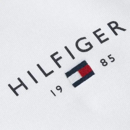 Pulls & Capuches Homme TOMMY HILFIGER MW0MW41429 - TOMMY HILFIGER