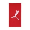 Grande serviette TEAM (70x140cm) - PUMA