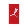Petite serviette TEAM (50x100cm) - PUMA