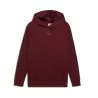 Hoodie ESS Elevated Satin FL - PUMA