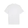 Polo Homme PUMA  682554-02BC - PUMA