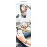 Montre Femme CURREN C9060 - Curren