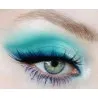 PALETTE REVOLUTION BRIDS OF PARADISE - REVOLUTION
