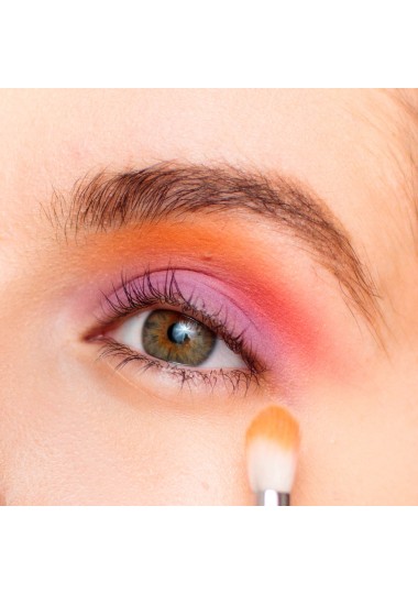 PALETTE REVOLUTION BRIDS OF PARADISE - REVOLUTION