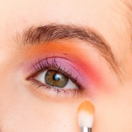 PALETTE REVOLUTION BRIDS OF PARADISE - REVOLUTION