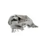 ÉCHARPE HOMME GRIS RALPH LAUREN - RALPH LAUREN
